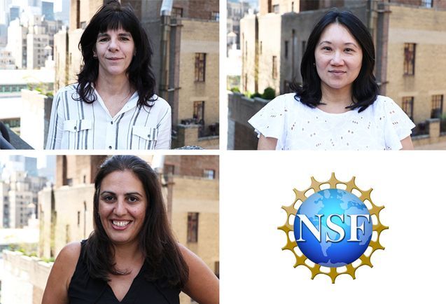 School of Education Faculty Receive National Science Foundation Research Awards