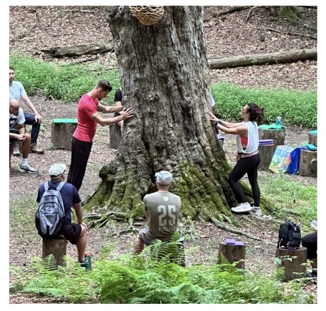 Gray Fellows participate in an activity around an old tree.